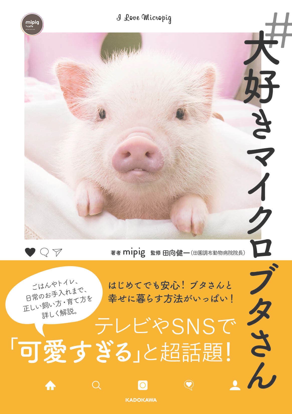 マイクロブタの除菌消臭にSANRIのCELA水がお勧めです。